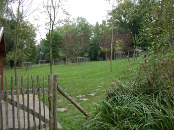 DSCN3587